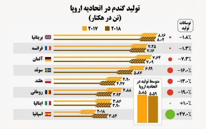 گرما جان گندم‌ها را گرفت