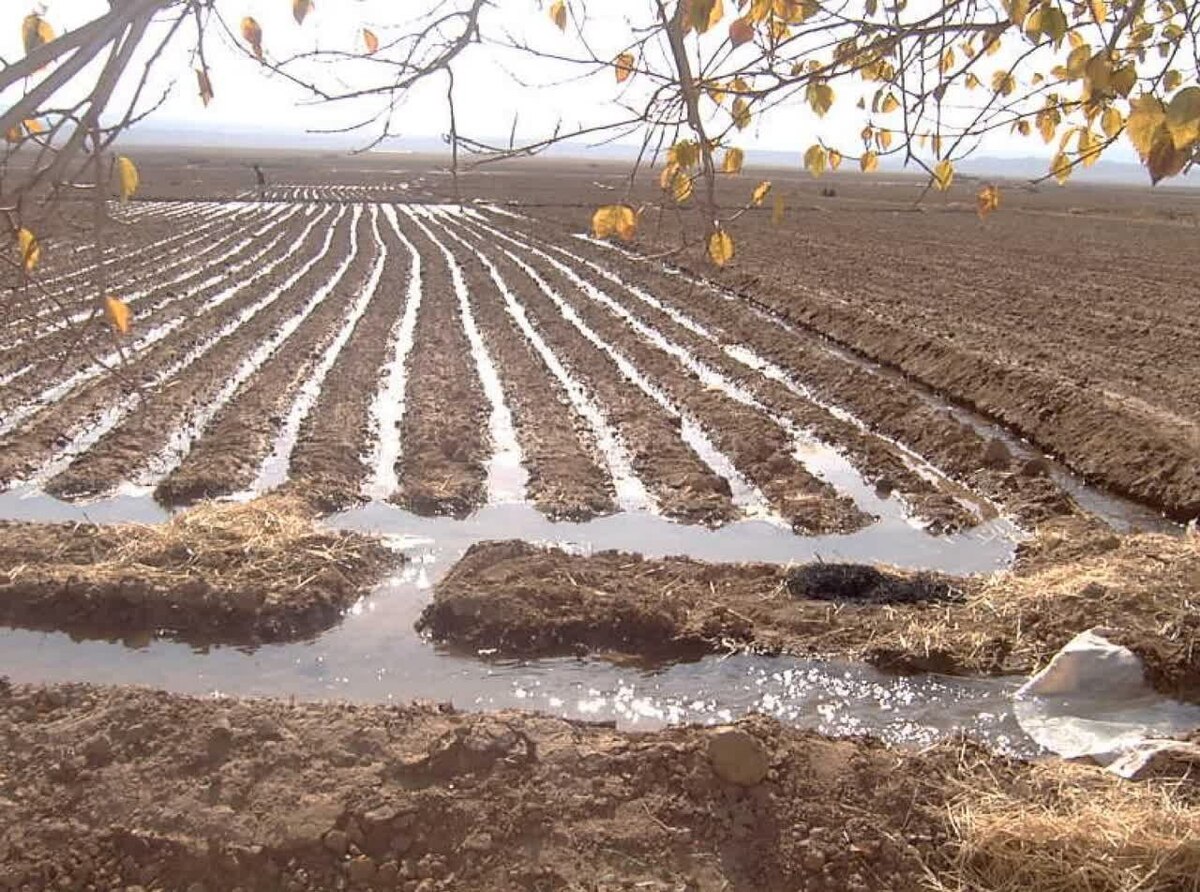 جبران عقب‌ماندگي‌هاي اجراي طرح تحويل حجمي آب در بخش كشاورزي