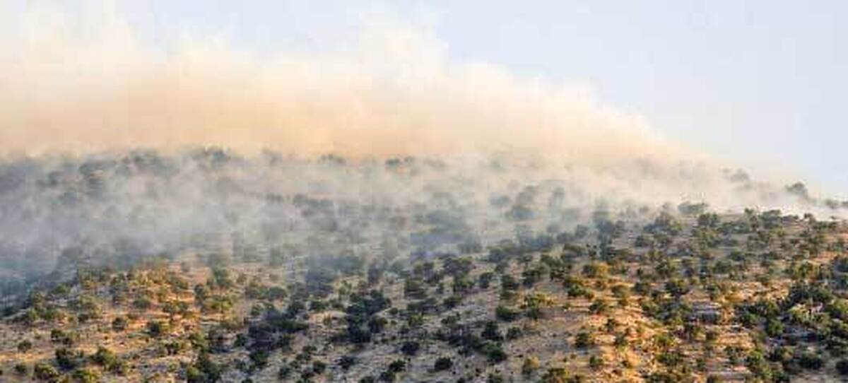 آتش‌سوزي منطقه خاييز از مزرعه كشاورزي شروع شد