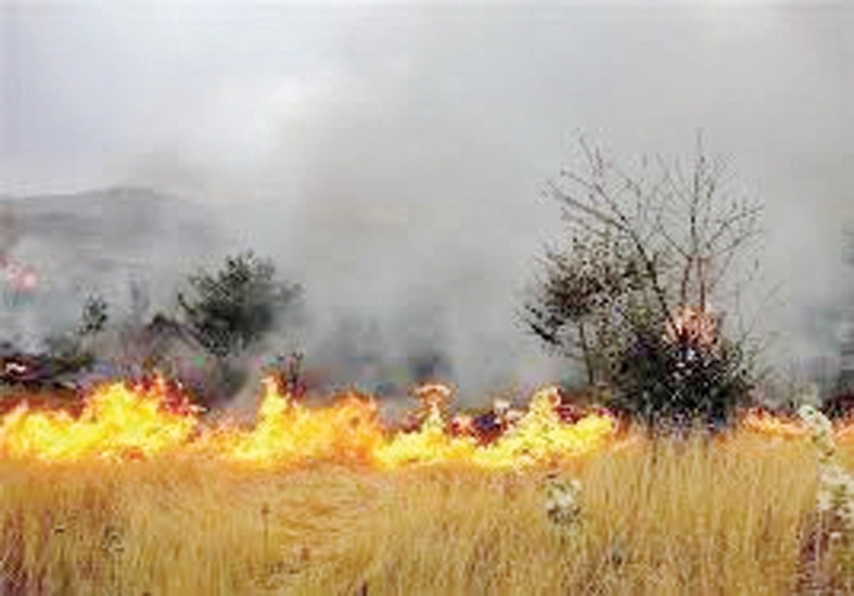 وقوع ۲۰۰ فقره آتش سوزي در جنگل‌هاي لرستان در فصل گرما